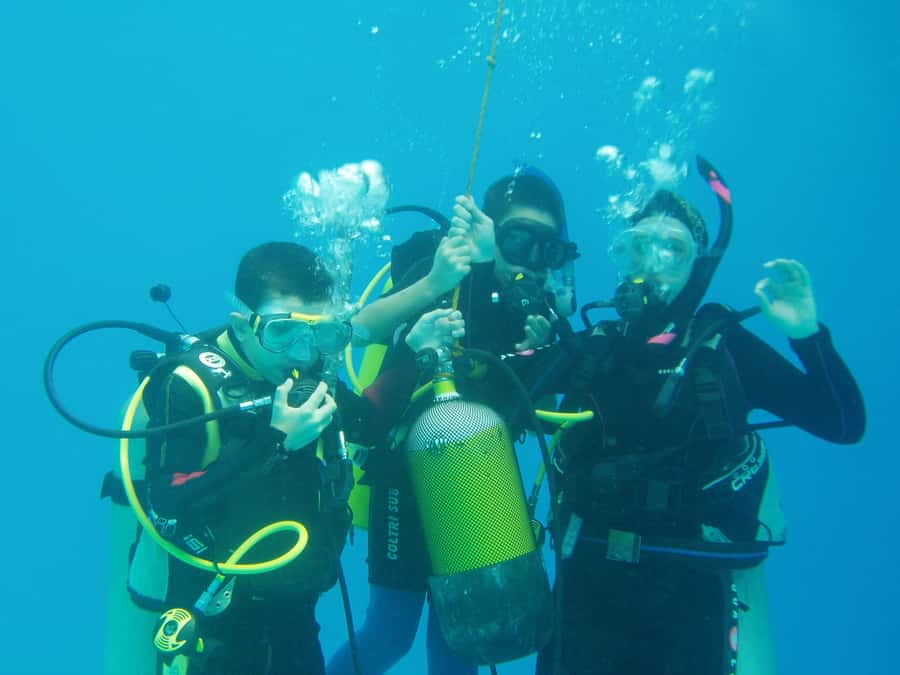 Hurghada, Professionals Diving in Open Water Tour with Lunch - Who should choose this Hurghada outing