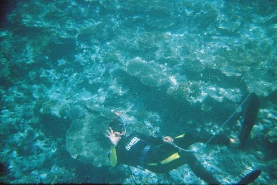 Hurghada, Professionals Diving in Open Water Tour with Lunch - What the day on the Red Sea feels like