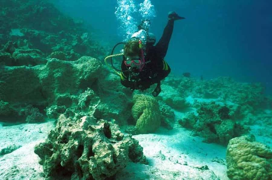 Hurghada, Professionals Diving in Open Water Tour with Lunch - Hotel pickup and the 40-minute boat ride