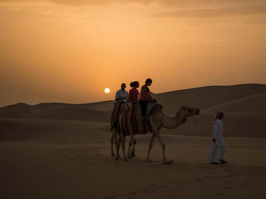 Hurghada: Quad Bike, Camel, Show, Dinner, & Stargazing Trip - What the $16 price really gets you