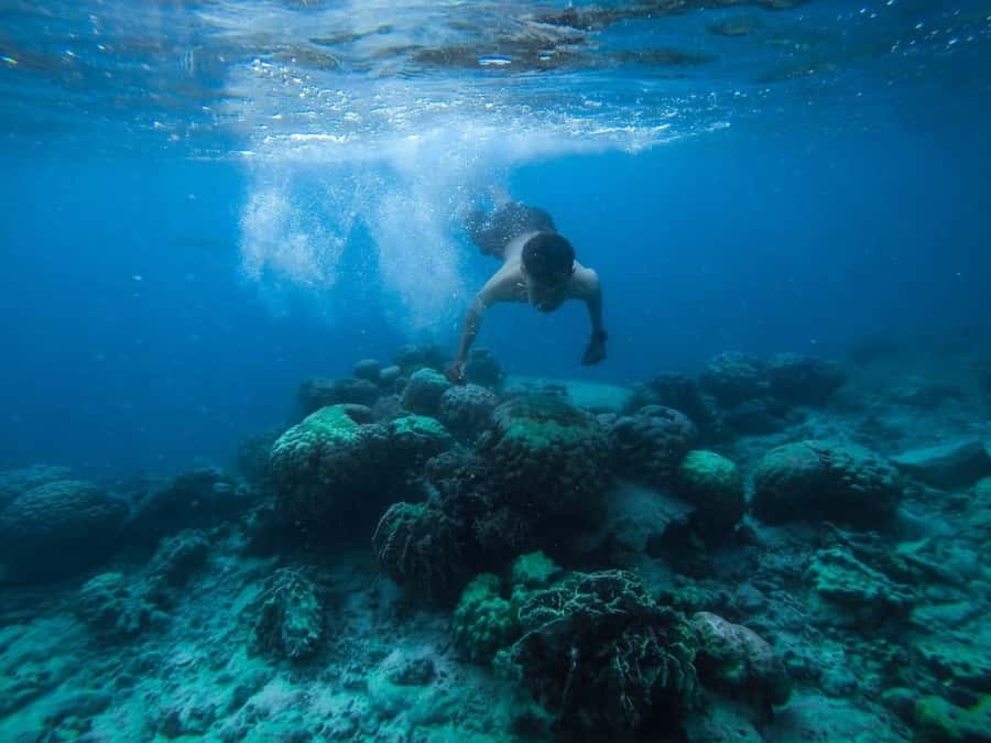 Hurghada: Royal Orange Bay with Massage, Snorkeling & Lunch - Orange Bay before the crowds arrive