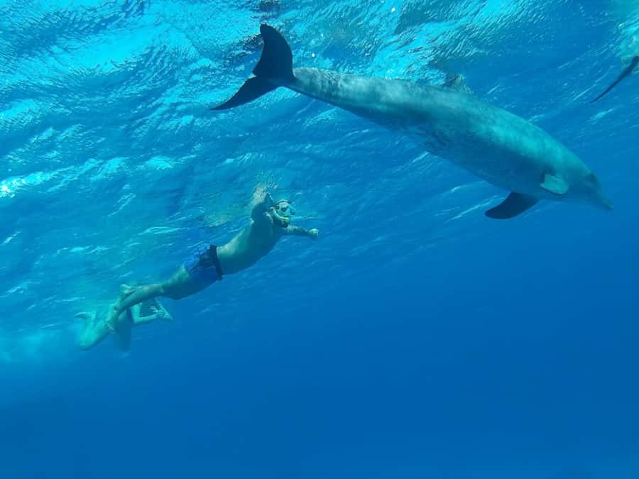 Hurghada: Royal Orange Bay with Massage, Snorkeling & Lunch - Snorkeling at Jazāir Jiftūn