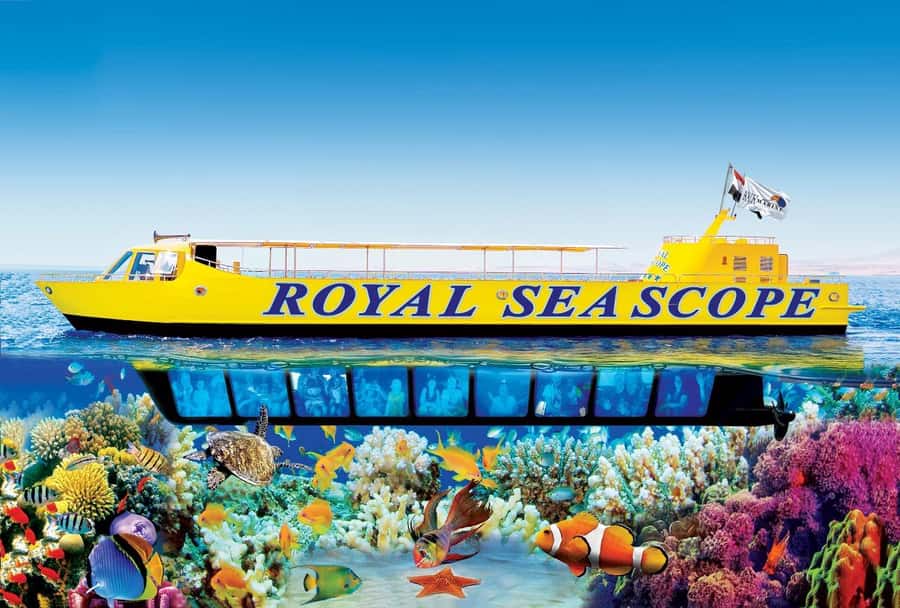 Hurghada: Royal Seascope Submarine Cruise with Snorkel Stop - Forty-five minutes below the surface