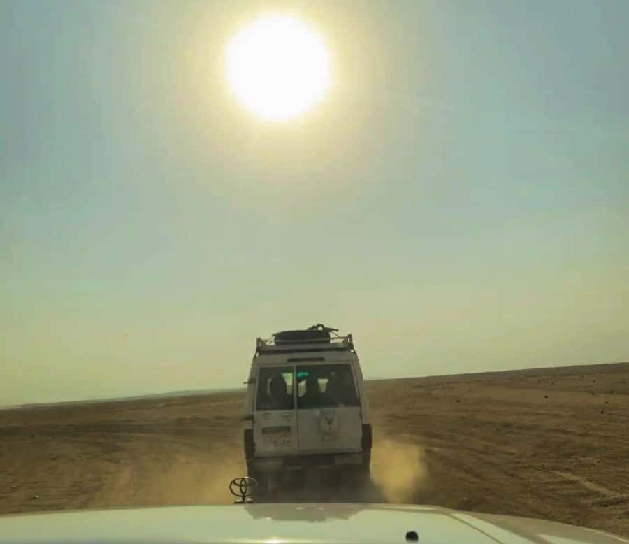 Hurghada: Safari Jeep & Camel Ride with BBQ Dinner & Show - BBQ dinner, Arabic tea, and an evening show