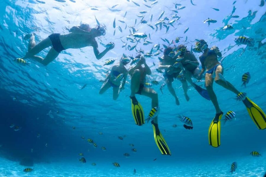 Hurghada: Scuba Diving for Beginners & Certified Divers - Your first underwater session, step by step