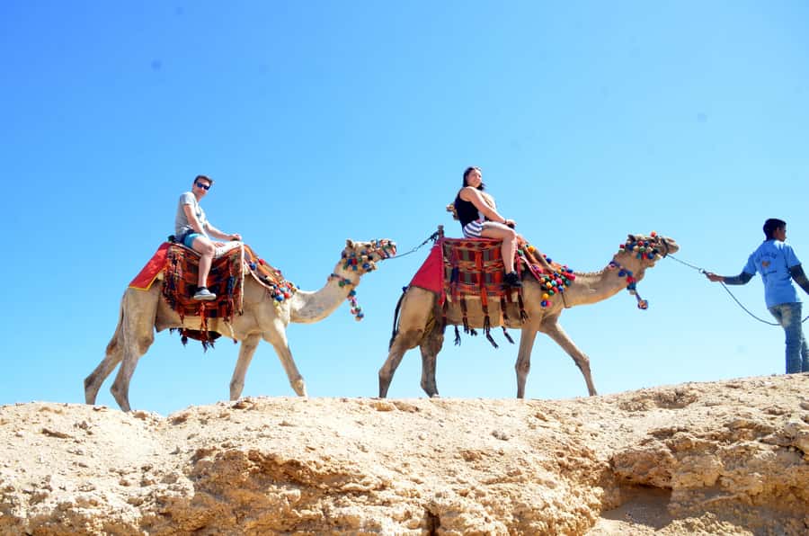 Hurghada: Sea & Desert Camel Ride w/Dinner, Show, Stargazing - What Happens Before You Mount