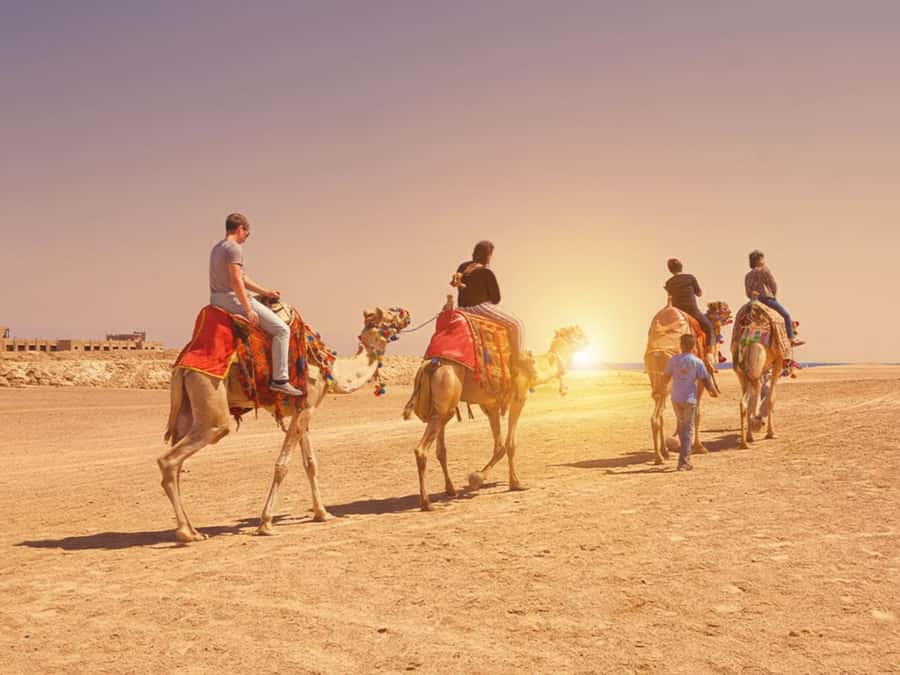 Hurghada: Sea & Desert Camel Ride w/Dinner, Show, Stargazing - Desert Silence, Mountain Views, and Coastal Stops