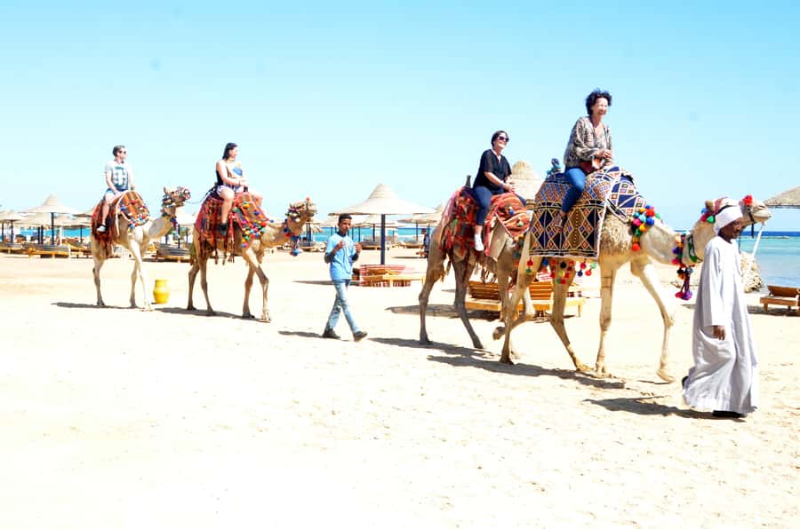 Hurghada: Sea & Desert Camel Ride w/Dinner, Show, Stargazing - The Sunset Dinner and Show Option