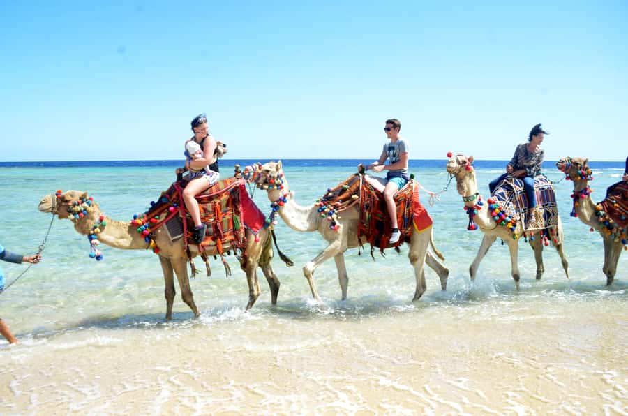 Hurghada: Sea & Desert Camel Ride w/Dinner, Show, Stargazing - Sunrise Breakfast and Alternative Arrangements