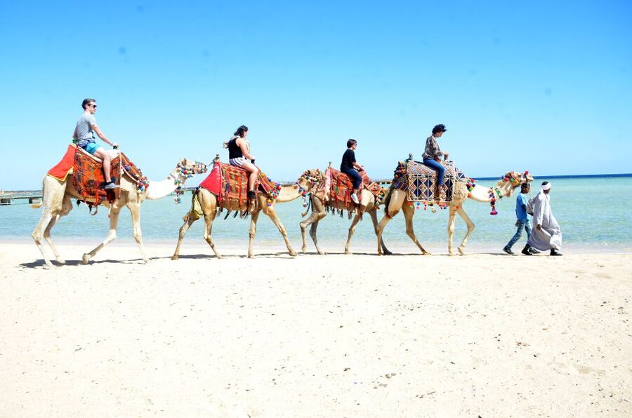 Hurghada: Sea & Desert Camel Ride w/Dinner, Show, Stargazing - Is the $26 Price Good Value?