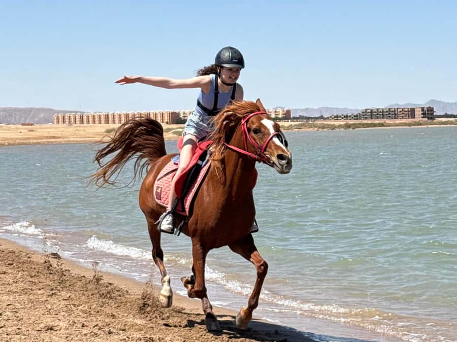Hurghada: Sea & Desert Horse Riding tour/w Swimming&Transfer - Choosing 90 minutes, two hours, or longer