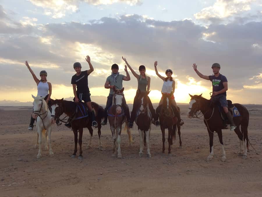Hurghada: Sea & Desert Horse Tour, Stargazing, Dinner & Show - Quick takeaways