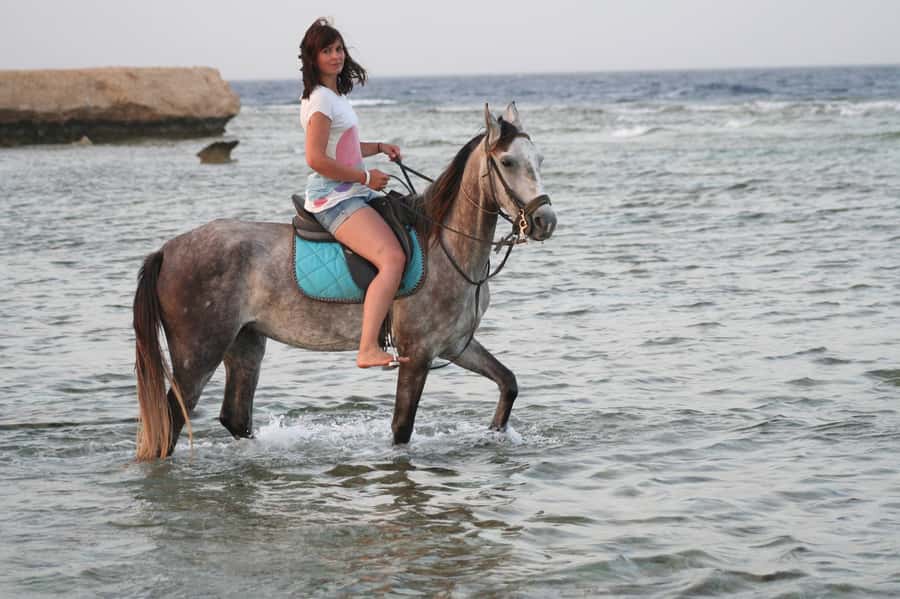 Hurghada: Sea & Desert Horse Tour, Stargazing, Dinner & Show - The real attraction: desert riding with the sea ahead