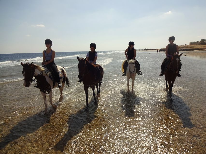 Hurghada: Sea & Desert Horse Tour, Stargazing, Dinner & Show - The four-hour VIP swim option