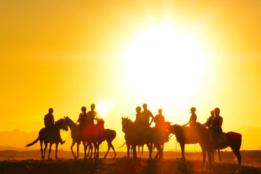 Hurghada: Sea & Desert Horse Tour, Stargazing, Dinner & Show - Dinner, dancing, and telescopes after sunset