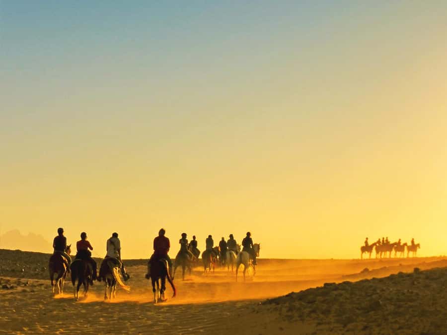 Hurghada: Sea & Desert Horse Tour, Stargazing, Dinner & Show - Choosing between the five main versions