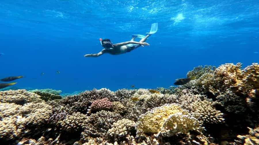 Hurghada: Snorkeling 6 x 1 to Orange Bay w Diving & Massage - Hotel Pickup and the Morning Boat Ride
