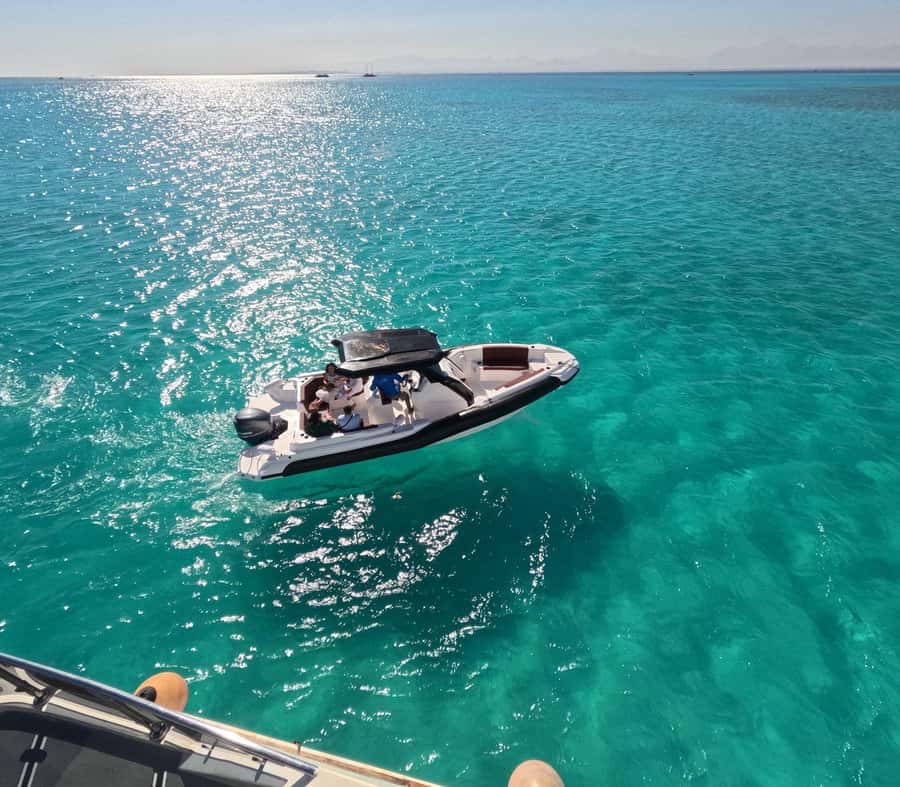 Hurghada: Speedboat Dolphin Watching & Snorkeling with Lunch - Why this small speedboat trip works so well