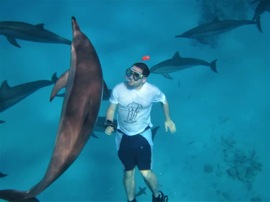 Hurghada: Speedboat Dolphin Watching & Snorkeling with Lunch - The speedboat ride sets the tone