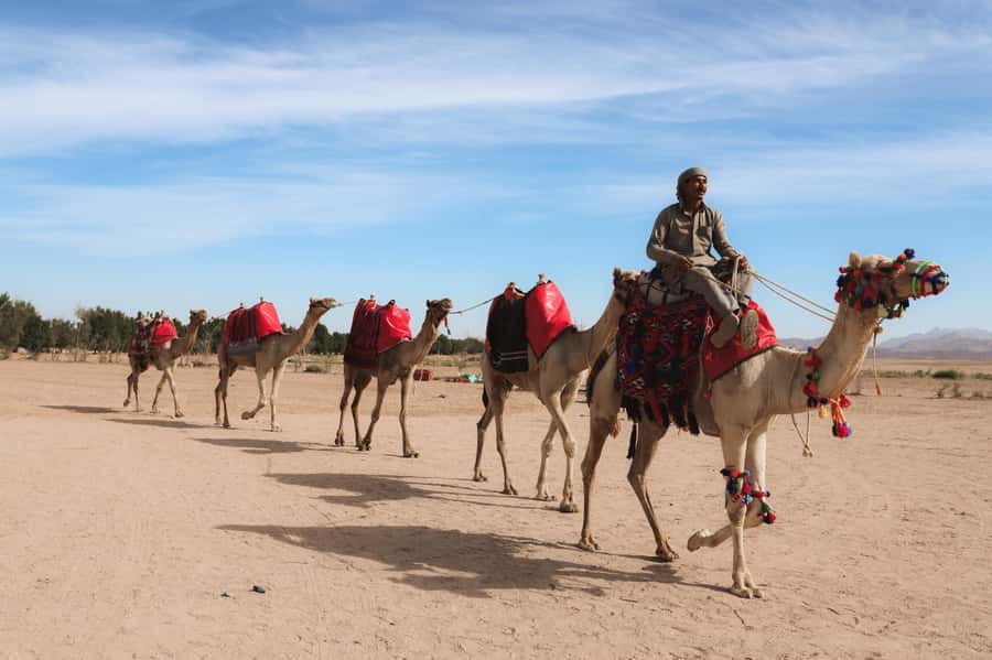 Hurghada: Sunset Camel Ride with Dinner - Camelback through the valleys at sunset