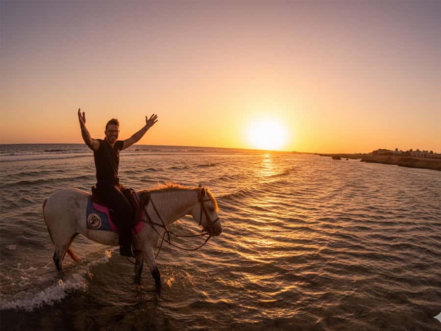 Hurghada: Sunset Sea, Desert Horse W Opt, Dinner, Stargazing - Choosing between sunset, sunrise, and the VIP swim