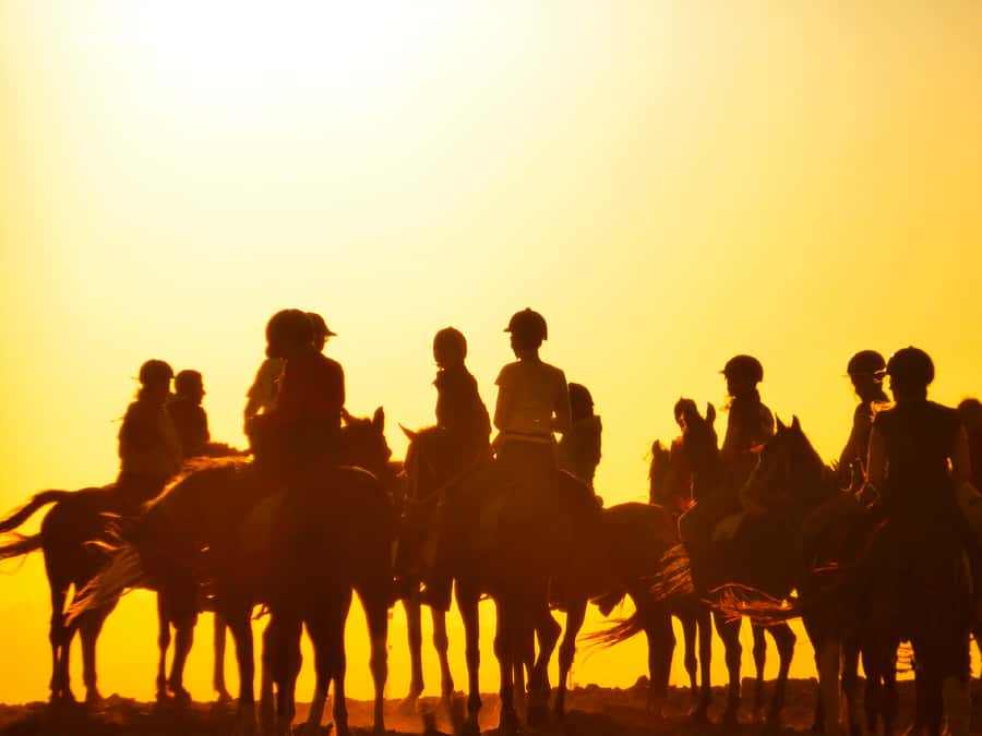 Hurghada: Sunset Sea, Desert Horse W Opt, Dinner, Stargazing - Transfers from Hurghada and nearby resorts