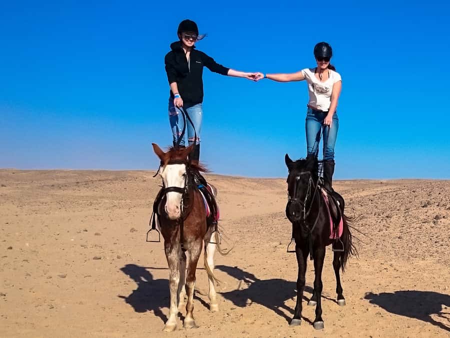 Hurghada: Sunset Sea, Desert Horse W Opt, Dinner, Stargazing - Is $29 a good value?