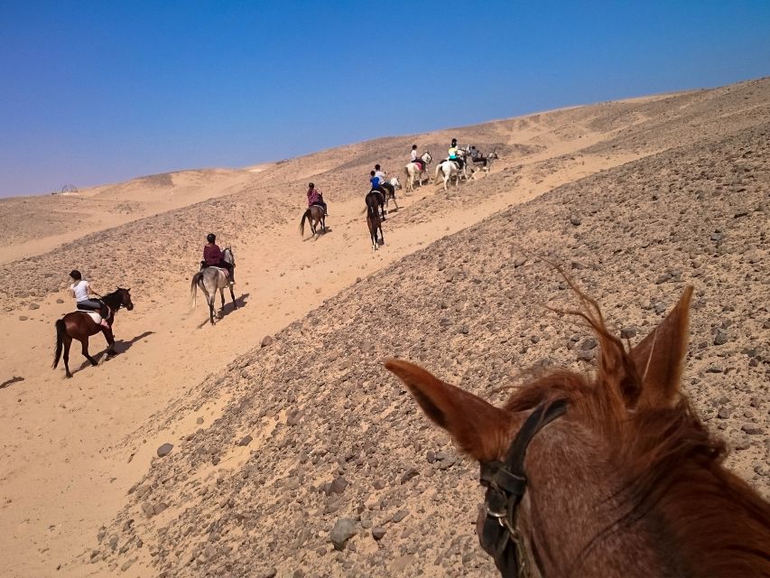 Hurghada: Sunset Sea, Desert Horse W Opt, Dinner, Stargazing - What to wear and pack for the desert