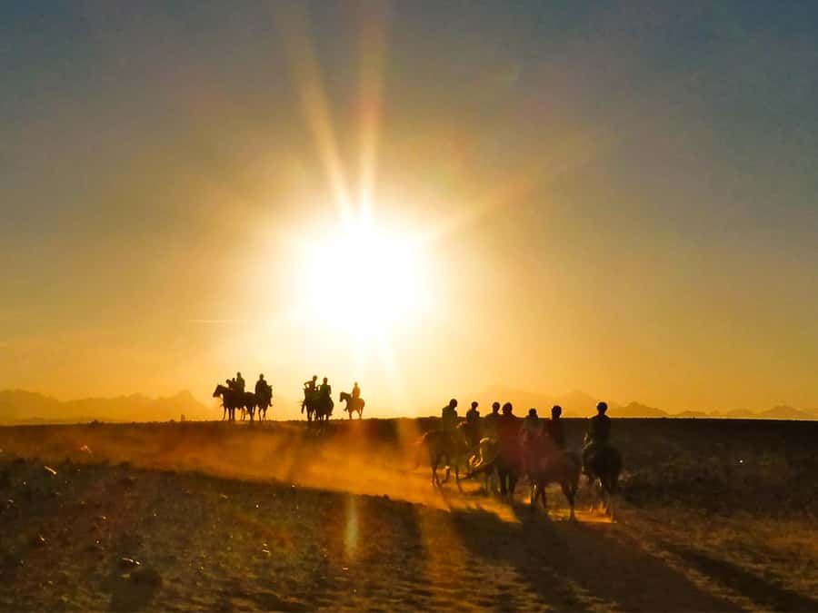 Hurghada: Sunset Sea, Desert Horse W Opt, Dinner, Stargazing - What the horse ride feels like for beginners