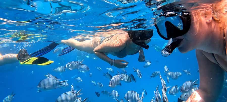 Hurghada: White Island Speedboat Tour, Snorkeling, & Lunch - Nemo Island and the White Island stop