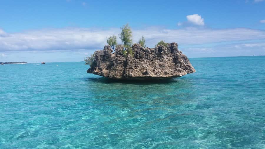 Île aux Bénitiers: Snorkeling w/Dolphins Boat Tour & Lunch - What to pack and who should skip it