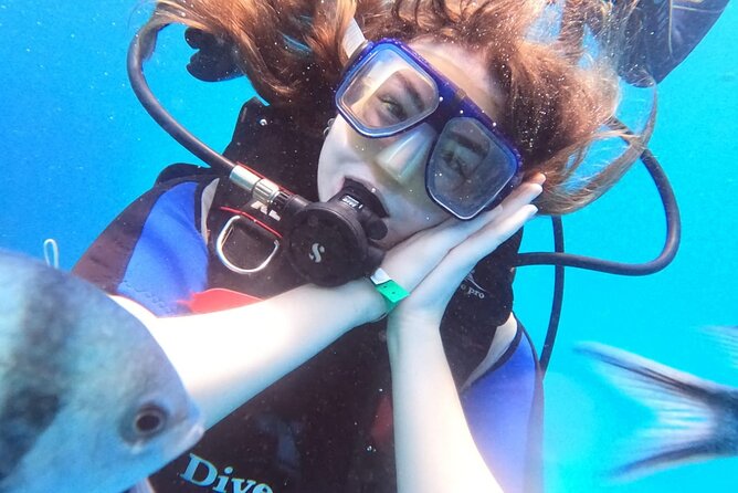 Intro Diving Beginner and Discover Red Sea Underwater - What this Red Sea beginner day is really like