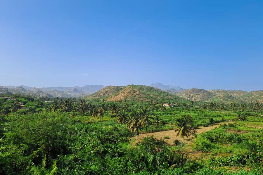 Island tour with German-speaking guide for cruise guests - Assomada and a look at island life
