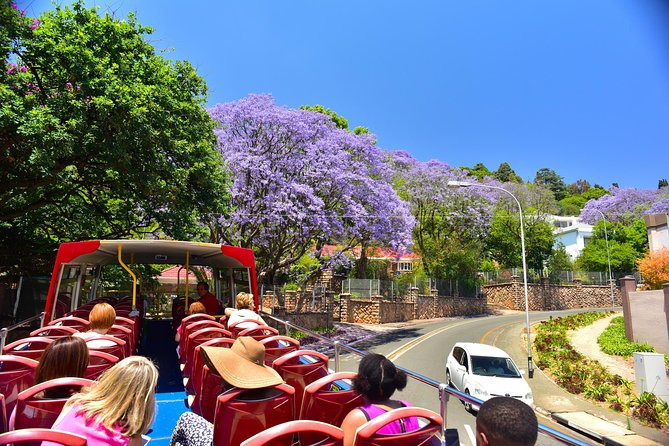 Johannesburg Hop-On Hop-Off City Tour with Soweto Option - Munro Drive, Constitution Hill, and the city’s past