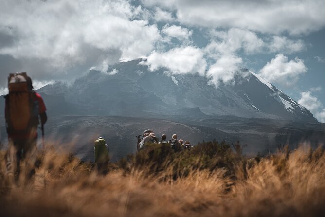 Kilimanjaro climb, Lemosho Route (6-day) - Day two: Londorossi Gate to Shira 2 Camp