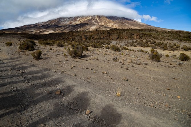 Kilimanjaro climb, Lemosho Route (6-day) - Day five: Barafu Camp and rest before the summit