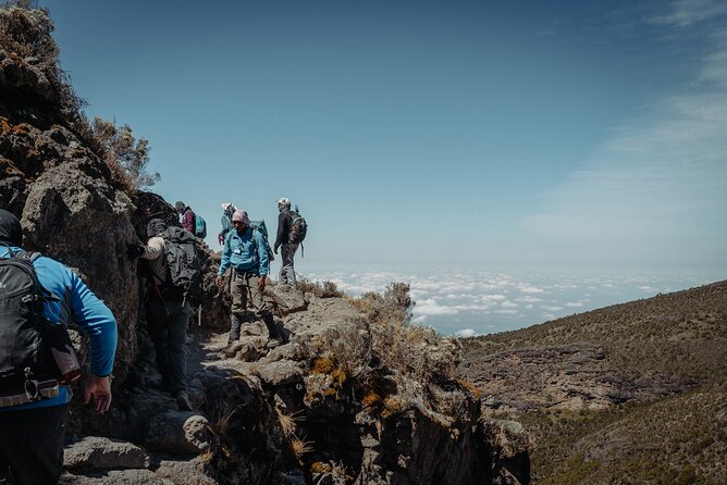 Kilimanjaro climb, Lemosho Route (6-day) - Day seven: rainforest descent to Mweka Gate