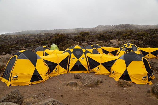 Kilimanjaro climb, Lemosho Route (6-day) - Day one: airport pickup and preparation in Moshi
