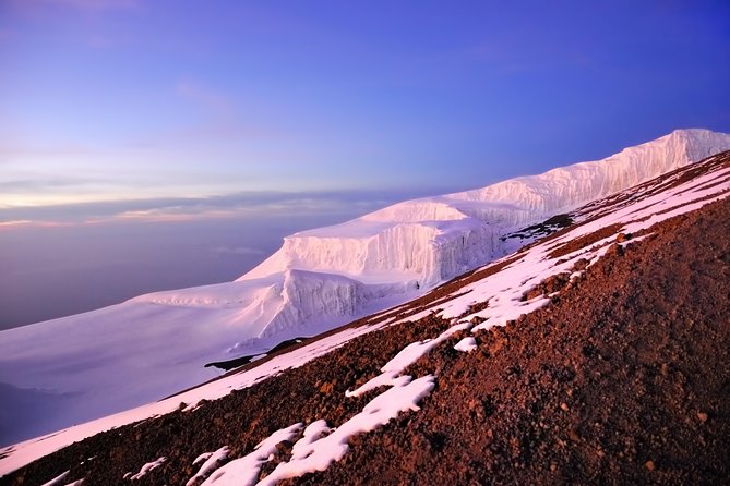 Kilimanjaro climb, Lemosho Route (8-day) - Day 5: Lava Tower, Barranco, and the first hard altitude test