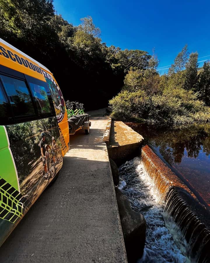 Knysna: Downhill Forest Scootour Adventure - Starting at Thesen Island and heading uphill