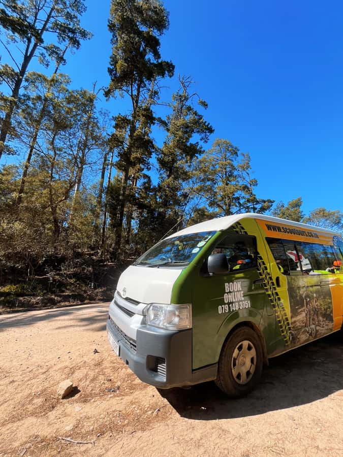 Knysna: Downhill Forest Scootour Adventure - Forest views, wildlife, and the value of looking up
