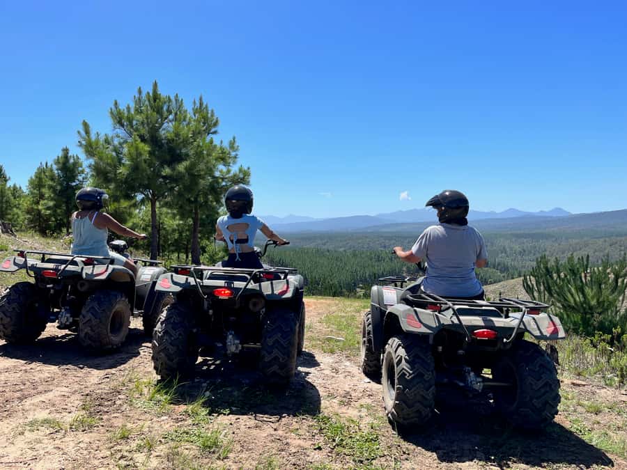 Knysna: Guided Quad Bike Tour in the Forest - What the forest is really like
