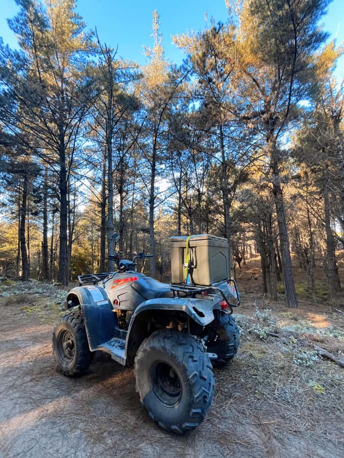 Knysna: Guided Quad Bike Tour in the Forest - Should you book it?
