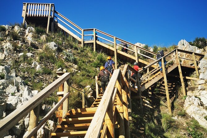 Knysna Ziplines Tour - The main event: long cables, open views, and a real rush