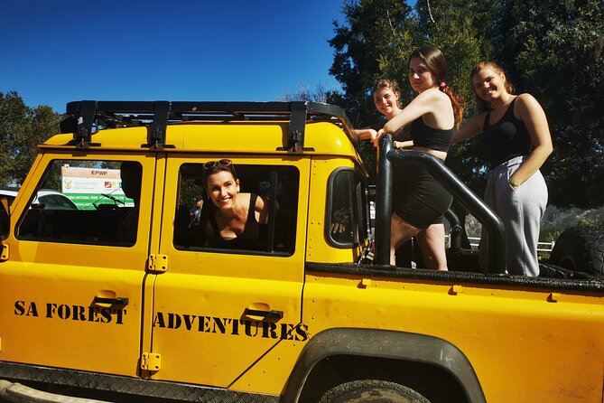 Knysna Ziplines Tour - What the $48.89 price really covers