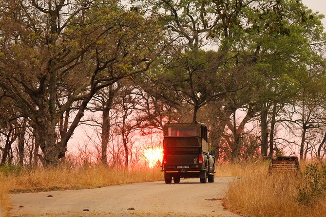 Kruger National Park Full Day Private safari - Lunch at a Different Rest Camp