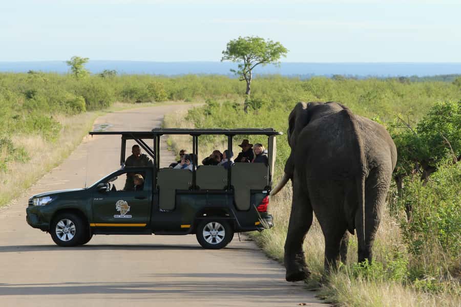 Kruger National Park: Full-Day Private Safari With Pickup - Key points to know before booking
