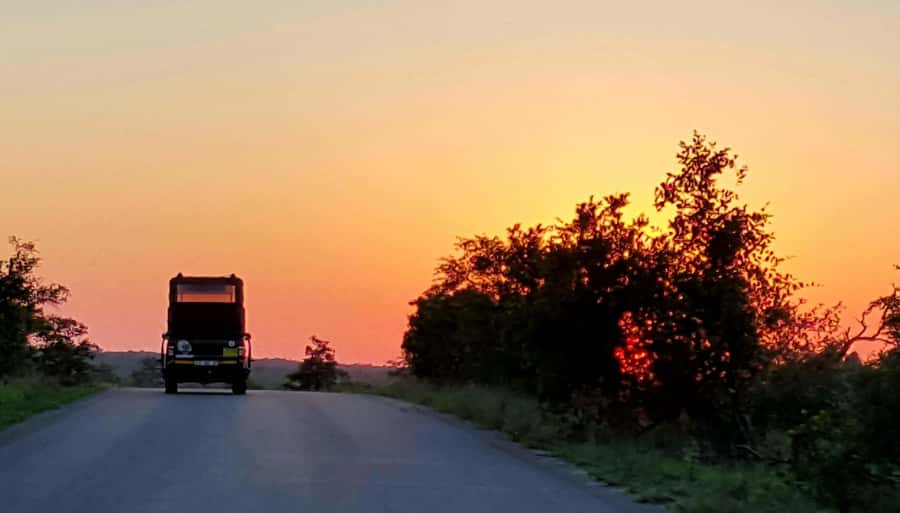 Kruger National Park: Full-Day Private Safari With Pickup - Searching for the Big Five without a false promise