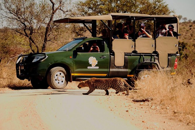 Kruger National Park Full Day Private safari - Leaving Hazyview Before Sunrise