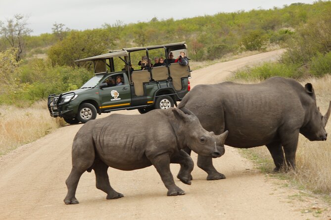 Kruger National Park sunrise Morning Private safari - What you should bring for the early start